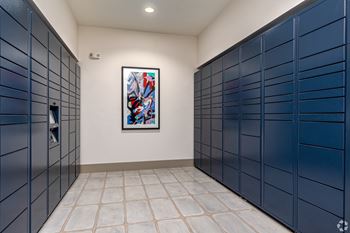 Delivery hub lockers