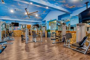 Canton apartment for rent - a gym with weights and cardio equipment and a sky ceiling