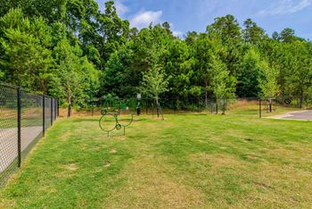 Bark park