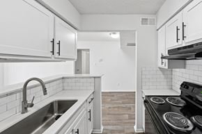 Denton apartment for rent - 2 bedroom kitchen in Oaks of Denton in Denton, TX