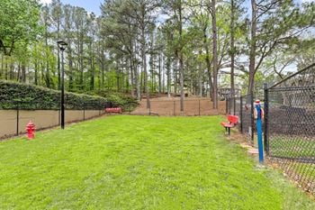 Pet park