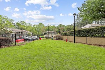Pet park