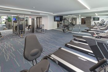 Cardio machines in gym