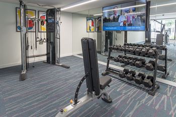 24-Hour fitness center with free weights