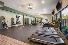Atlanta apartment for rent - Fitness Center at  Waterford Place Apartments in Atlanta, Georgia, GA