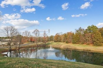 Park-like setting  and pond