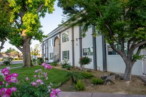 Clovis apartment for rent - A white house with a tree in front of it.