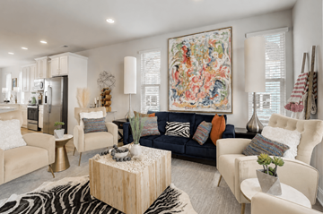 Charlotte townhouse for rent - A living room with a large tapestry on the wall and a zebra print rug on the floor.