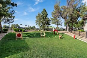 Chandler apartment for rent - Linq dog park
