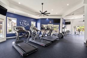 Chandler apartment for rent - Linq Fitness Center