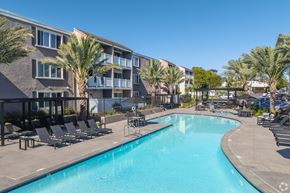 San Diego apartment for rent - A swimming pool surrounded by lounge chairs and palm trees.