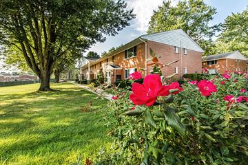 Spring Lake Heights apartment for rent - A red flower in front of a house.