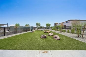 Oversized dog park with pet-friendly community design