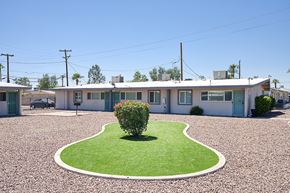 Phoenix apartment for rent - A small tree is in the middle of a grassy area.