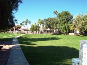 Glendale apartment for rent - a park with a lawn and palm trees