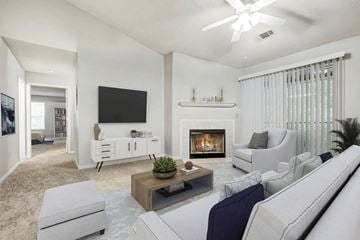 Macon apartment for rent - A living room with a fireplace, a television, and a couch.