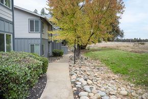Cameron Park apartment for rent - A tree with yellow leaves stands next to a grey building.