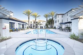 Murrieta apartment for rent - A swimming pool in a resort with palm trees.