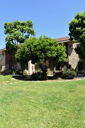 Canoga Park apartment for rent - View of courtyard lawn