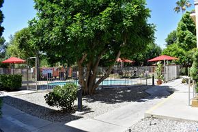 Canoga Park apartment for rent - View of gated community pool with trees providing shade
