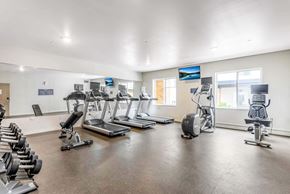Centennial apartment for rent - the gym with treadmills and other exercise equipment at the belgard apartments at Parks Residential - Denver, Centennial, 80111