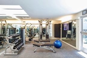 Marina Del Rey apartment for rent - A gym with a variety of equipment including weights, a bench press, and a ball.