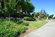Roseville apartment for rent - a sidewalk in front of a park with trees and flags