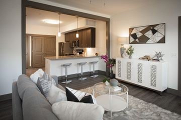 New Port Richey apartment for rent - A modern living room with a grey sofa and a glass coffee table.