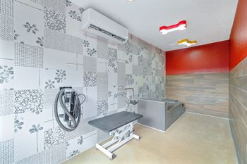 Pet grooming station