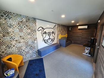 Pet friendly community with pet park & spa