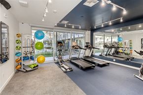 Scottsdale apartment for rent - A gym with treadmills, weights, and exercise balls.at The 89 on Hayden, Scottsdale  