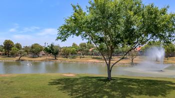 Beautiful lakeside views