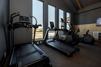 A home gym with treadmills, elliptical machines, and a stationary bike