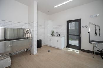 A kitchen area with a sink and a bicycle