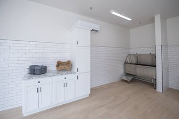 A white kitchen with a marble countertop and a dog bone on it