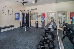 Prescott Valley apartment for rent - A gym with a row of dumbbells on the right and a bench on the left.