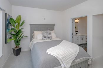 A bedroom with a bed, a plant, and a mirror