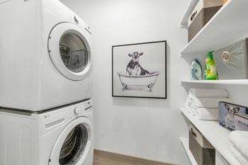 Full sized washers & dryers