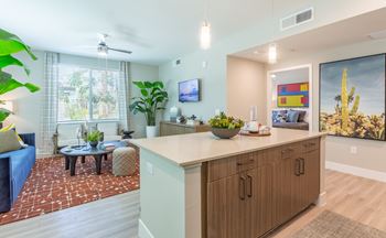 Modern pendant lighting in kitchen