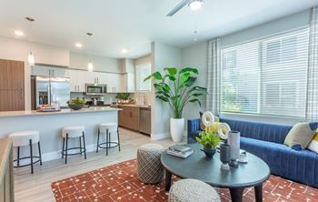 Studio, 1 & 2 bedroom apartments