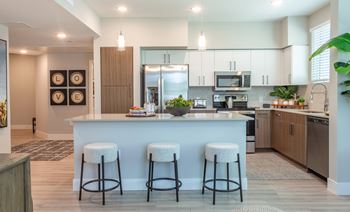 Gourmet kitchen with modern cabinetry, premium quartz countertops & tile backsplash