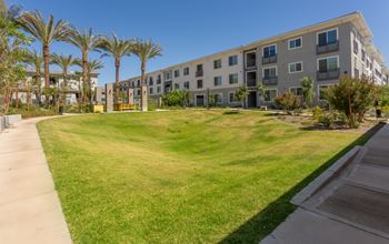 Pet-friendly green spaces