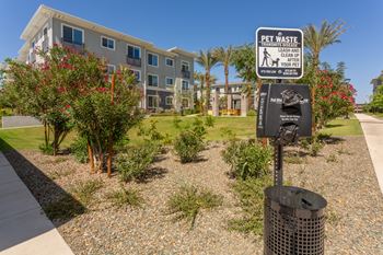 Pet-friendly green spaces