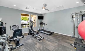 Chandler apartment for rent - A spacious gym with a variety of equipment including treadmills, elliptical machines, and weight machines.