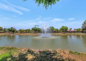 Chandler apartment for rent - A fountain in the middle of a lake surrounded by trees.