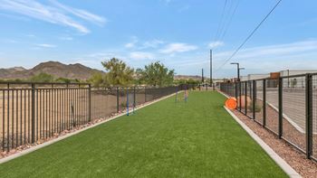 Community dog park & pet spa