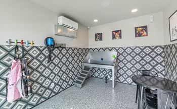 Community dog park & pet spa