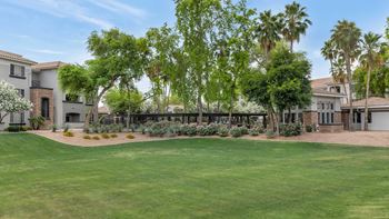 The backyard of a house with a green lawn and palm trees