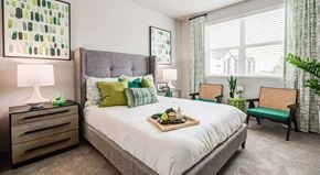 Colorado Springs apartment for rent - One Bedroom Apartment for Rent in Colorado Springs