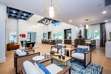 Thornton apartment for rent - A living room with a white couch and a blue and white patterned rug.